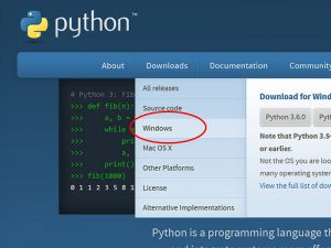 Python：Windows10にPython3＋Pygameをインストールする | 人生は読めないブログ