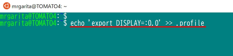 WSLでGUIアプリ実行エラー：Error: Can't open display:の対処法